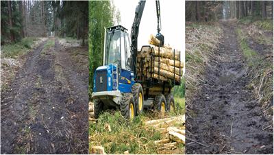 Impacts of Logging-Associated Compaction on Forest Soils: A Meta-Analysis